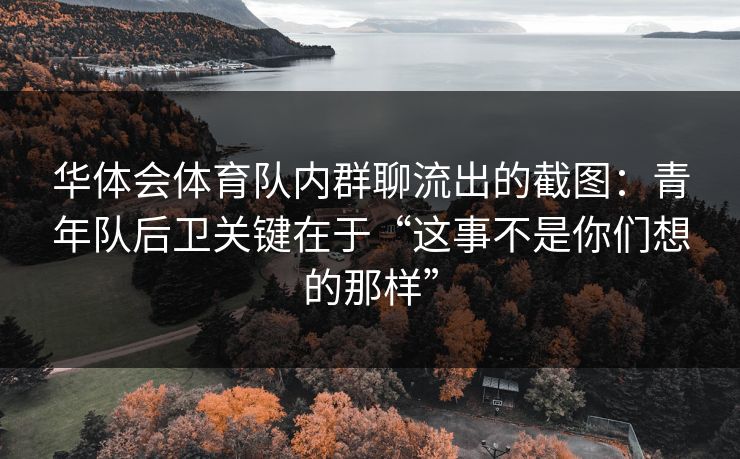 华体会体育队内群聊流出的截图：青年队后卫关键在于“这事不是你们想的那样”