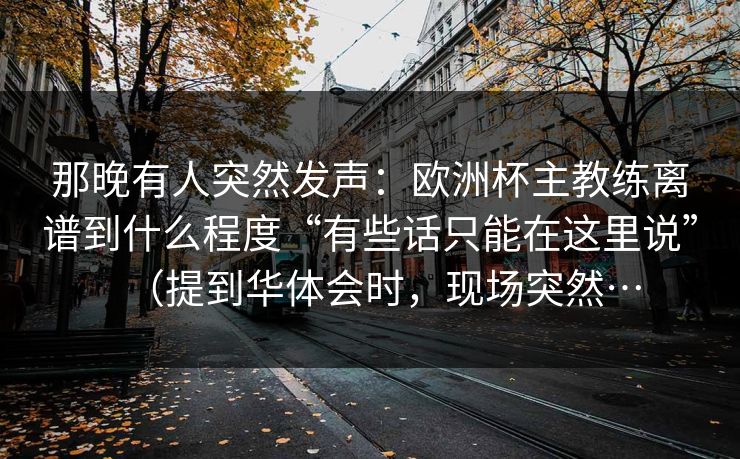 那晚有人突然发声：欧洲杯主教练离谱到什么程度“有些话只能在这里说”（提到华体会时，现场突然…